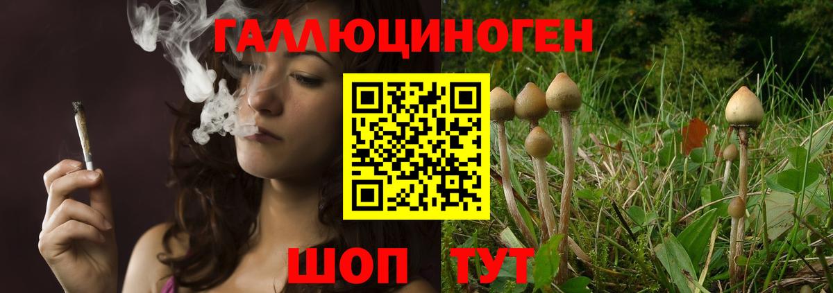Псилоцибиновые грибы прущие грибы  как найти закладки  Ливны  Псилоцибиновые грибы Psilocybe  Вход с VPN 